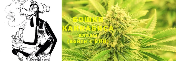 эйфоретик Новодвинск