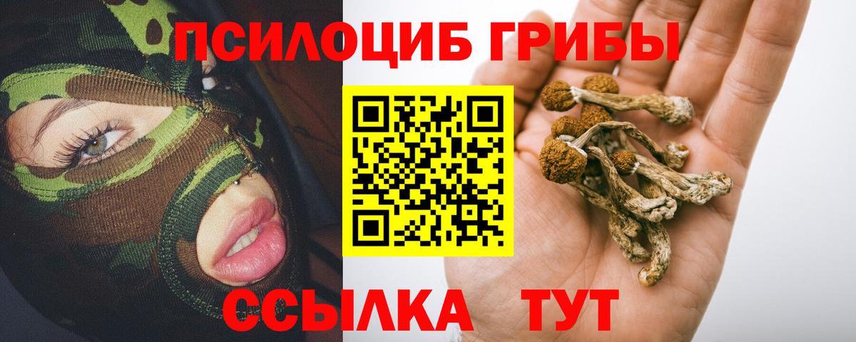 Ахтубинск  Галлюциногенные грибы GOLDEN TEACHER  Вход с VPN  Псилоцибиновые грибы MAGIC MUSHROOMS 