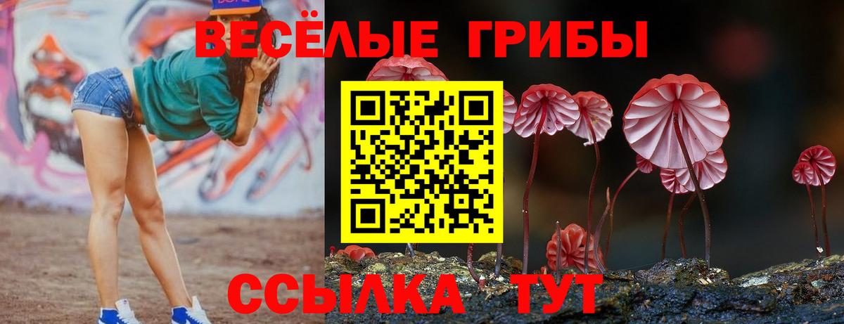 Галлюциногенные грибы Psilocybine cubensis Ахтубинск