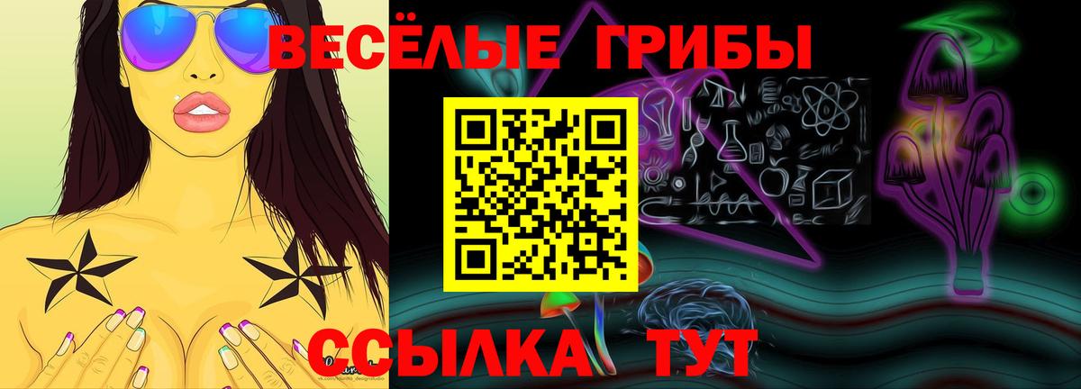 Галлюциногенные грибы Psilocybe Ахтубинск