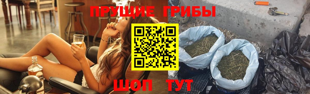 Галлюциногенные грибы Psilocybe  Ахтубинск 